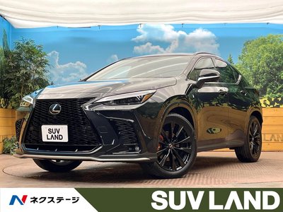 LEXUS NX - 1
