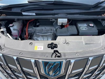 2022 Toyota ALPHARD 缩略图 31