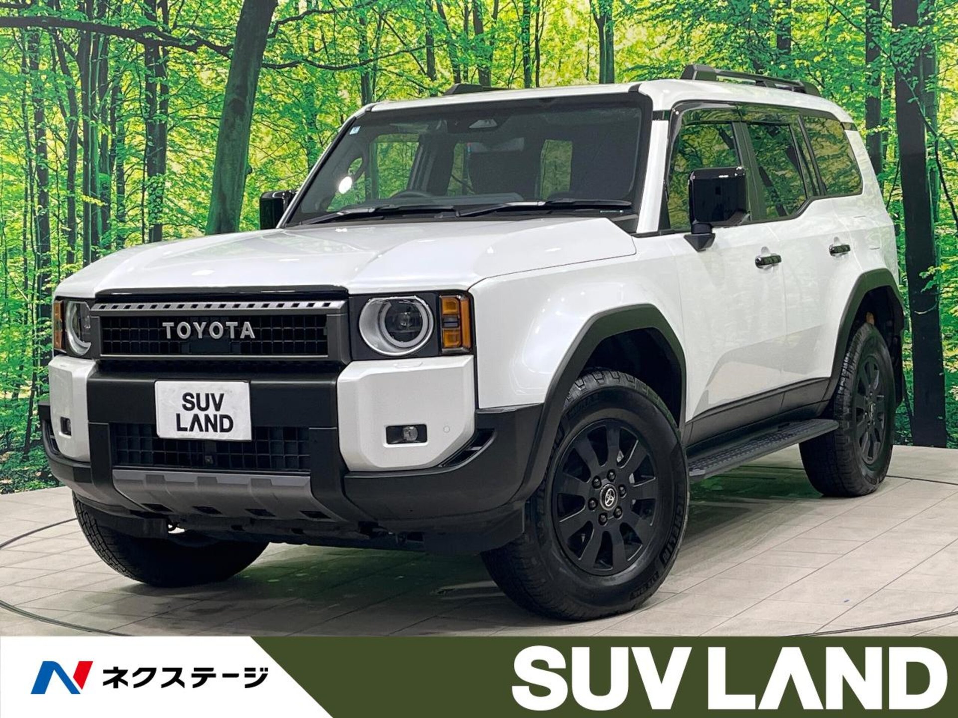 TOYOTA LAND CRUISER 250 - View 1