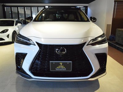 LEXUS NX - 3