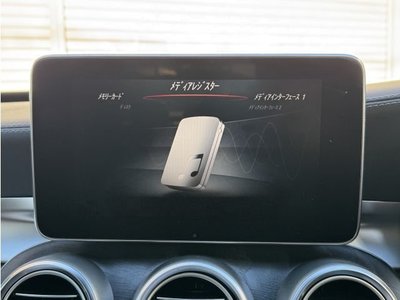 2016 Mercedes-BENZ C-CLASS AMG 缩略图 14