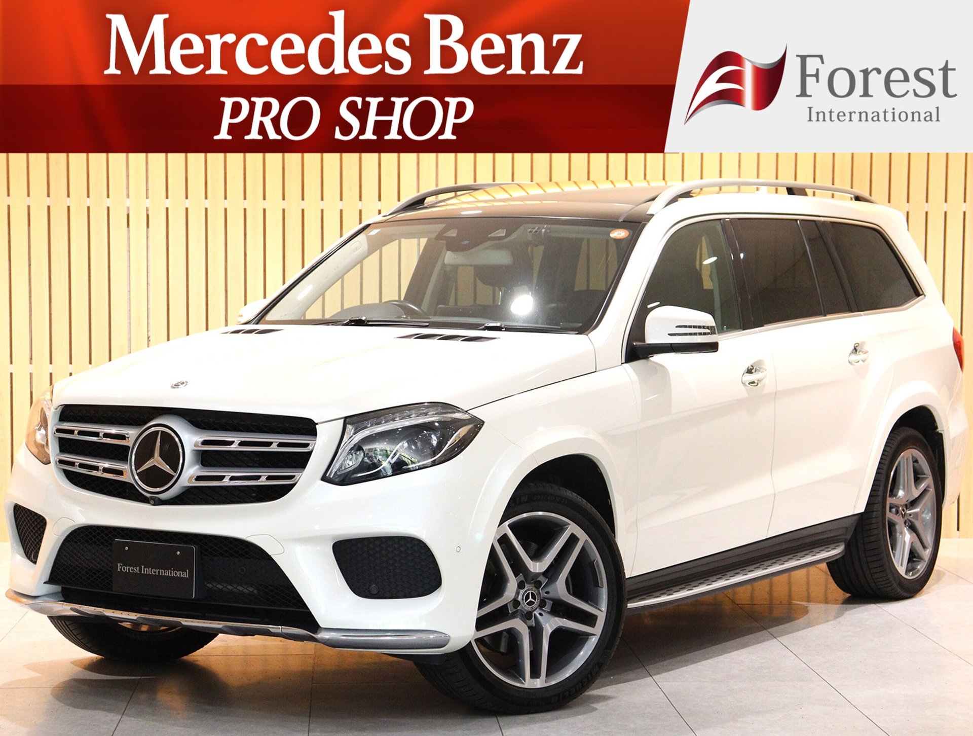 MERCEDES-BENZ GLS - View 1