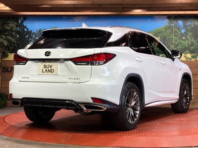 2021 Lexus RX 缩略图 17