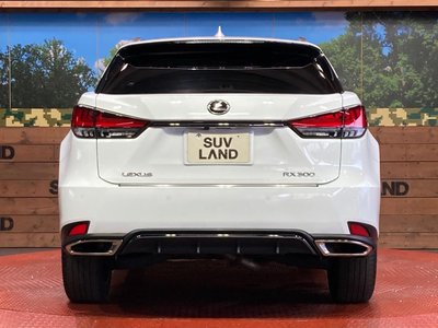 2021 Lexus RX 缩略图 15