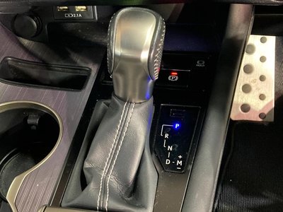 2021 Lexus RX 缩略图 48