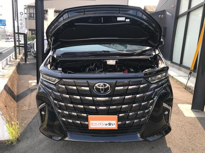 2026 Toyota ALPHARD 缩略图 65