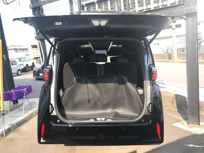 2026 Toyota ALPHARD 缩略图 47