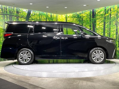 2025 TOYOTA ALPHARD 缩略图 28