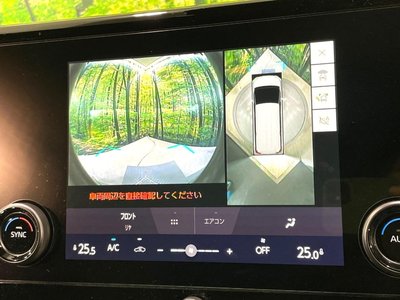 2025 TOYOTA ALPHARD 缩略图 35