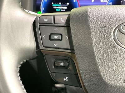 2025 TOYOTA ALPHARD 缩略图 53