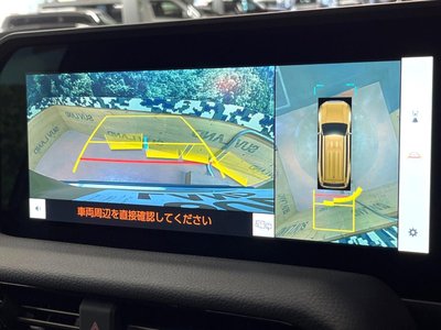 TOYOTA LAND CRUISER 250 - 6