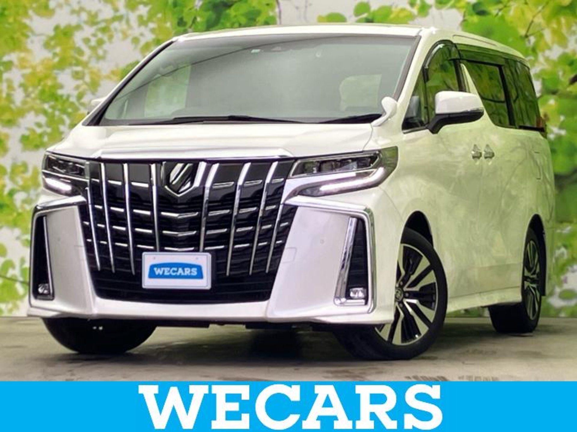 TOYOTA ALPHARD - View 1