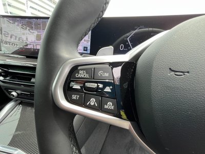 2025 BMW 4 SERIES GRAN COUPE — миниатюра 20