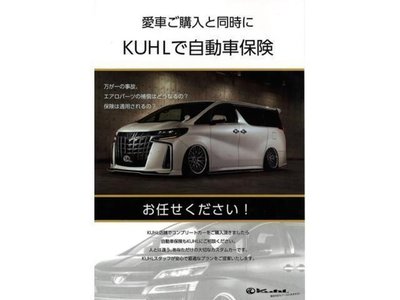 2026 Toyota VELLFIRE 缩略图 27