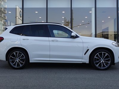 صورة 10 لـ 2023 BMW X3