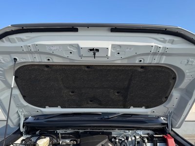 TOYOTA LAND CRUISER 250 - 10