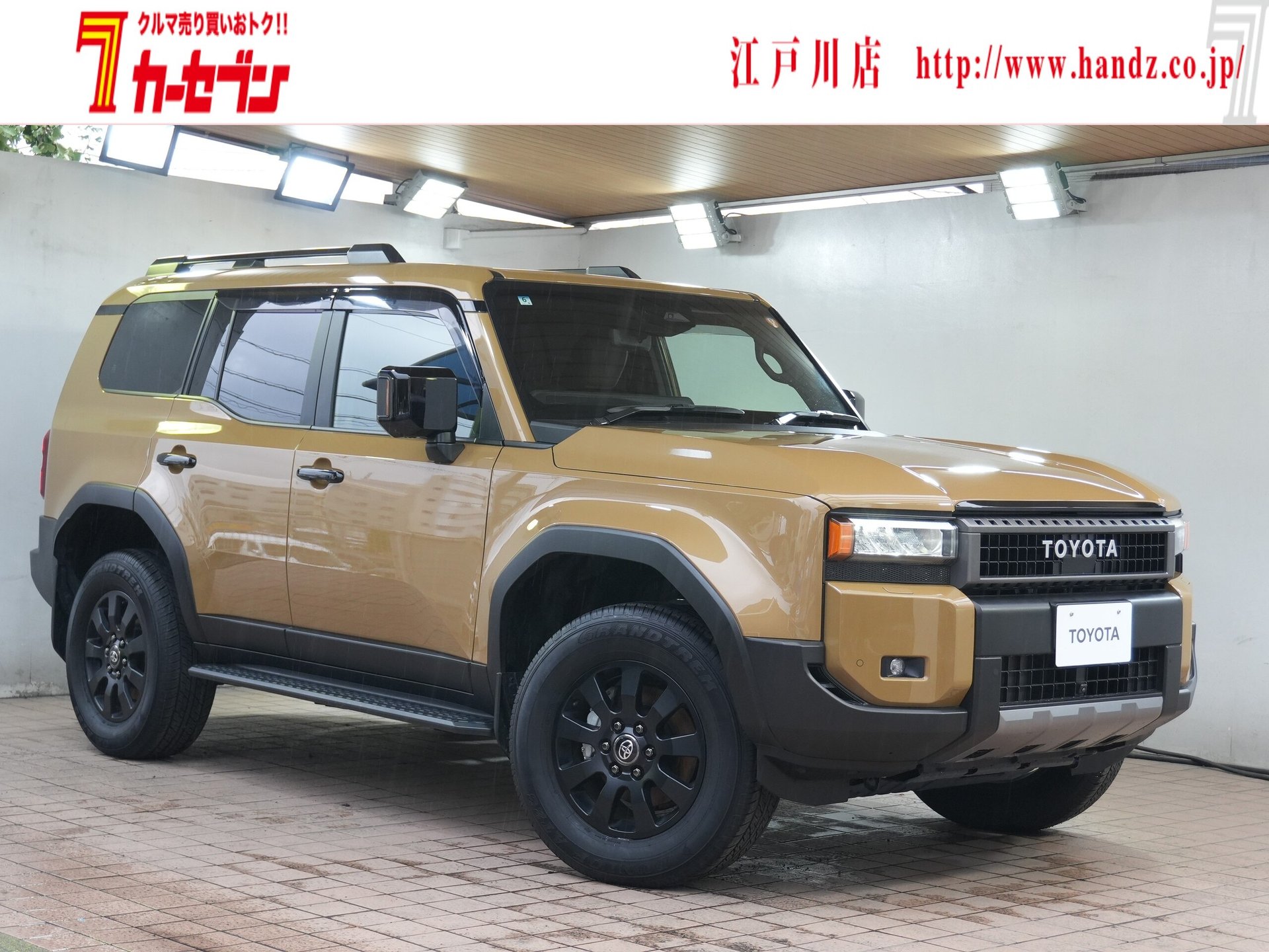 TOYOTA LAND CRUISER 250 - View 1