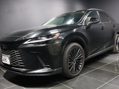 LEXUS RX - 1