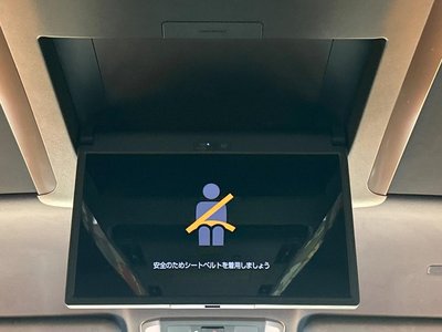 2024 Toyota ALPHARD — фото 4