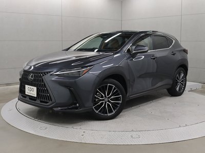 LEXUS NX - 1