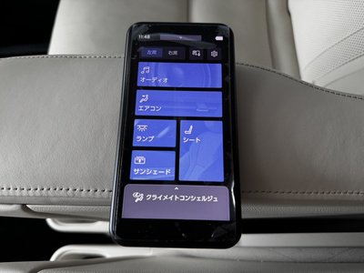 2025 Lexus LM — миниатюра 52