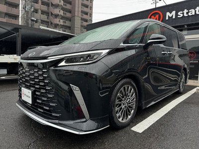 2025 Lexus LM — миниатюра 72