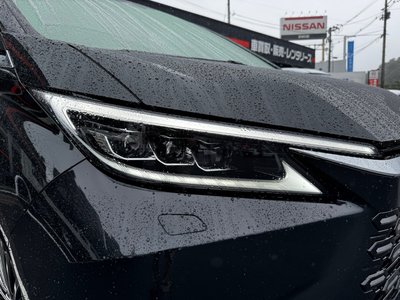 2025 Lexus LM — миниатюра 78