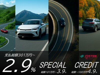 TOYOTA LAND CRUISER 300 - 5