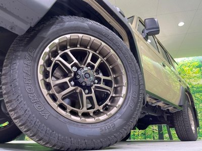 2025 Toyota LAND CRUISER 70 缩略图 13