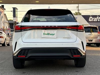 LEXUS RX - 10
