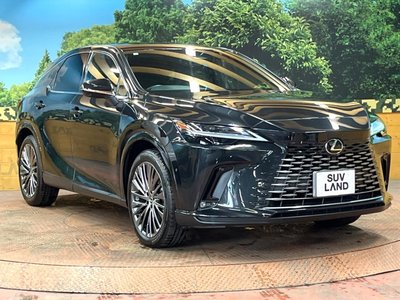 صورة مصغرة 16 لـ 2023 Lexus RX