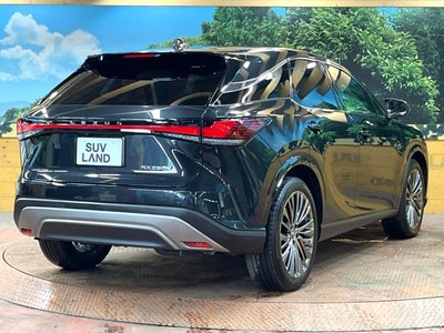 صورة مصغرة 17 لـ 2023 Lexus RX