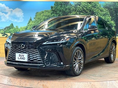 صورة مصغرة 59 لـ 2023 Lexus RX