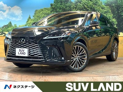 LEXUS RX - 1