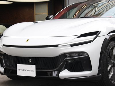 FERRARI PUROSANGUE - 7