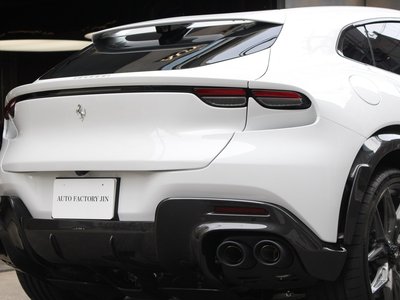 FERRARI PUROSANGUE - 8