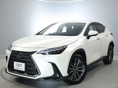 2023 Lexus NX — фото 10
