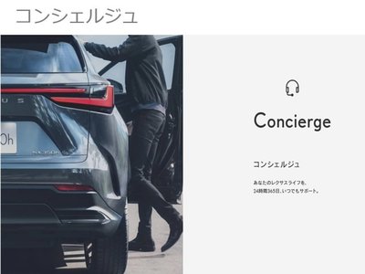 صورة مصغرة 34 لـ 2023 Lexus NX