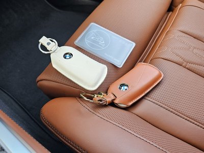 2025 BMW X7 缩略图 22