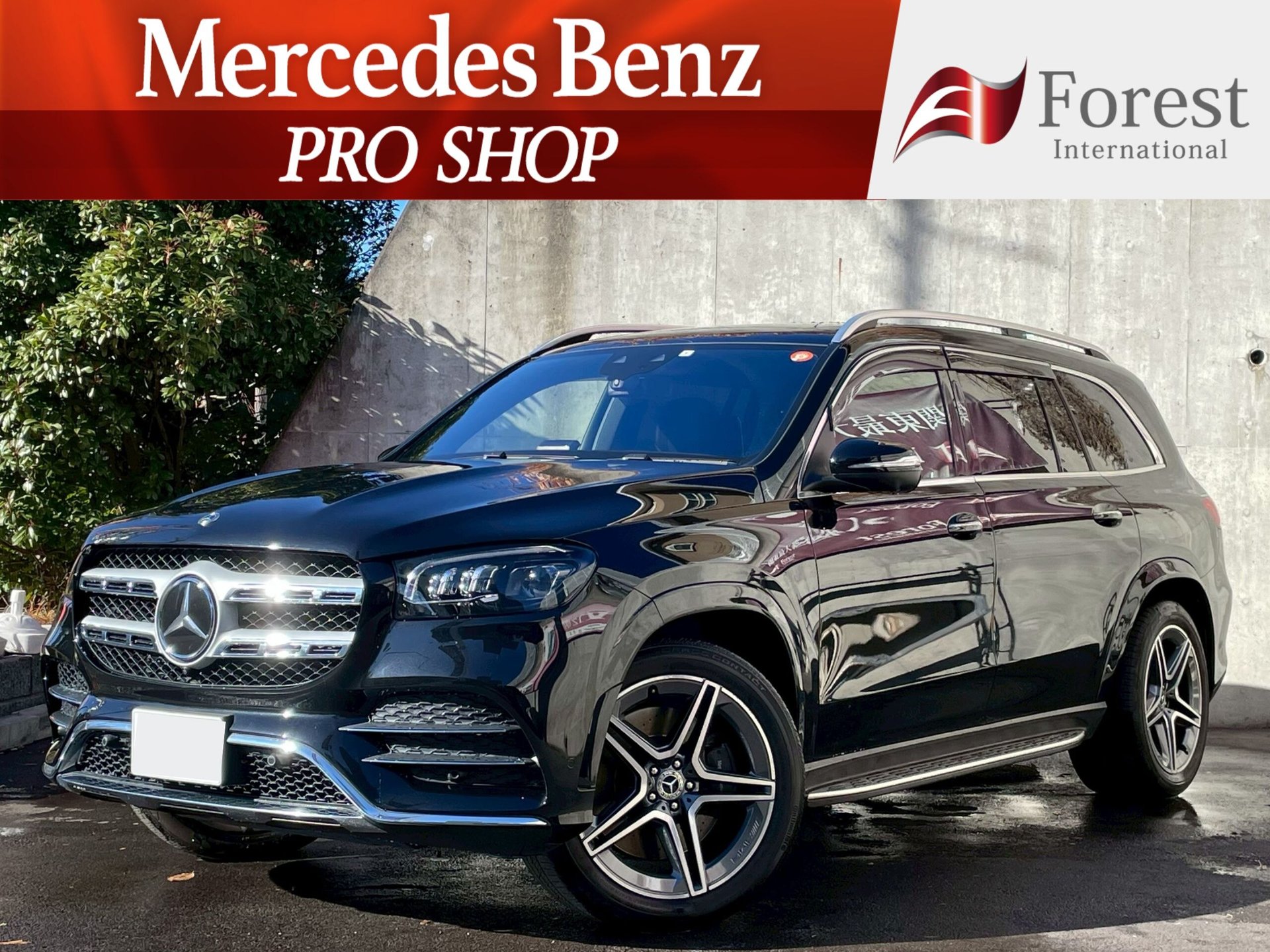 MERCEDES-BENZ GLS - View 1
