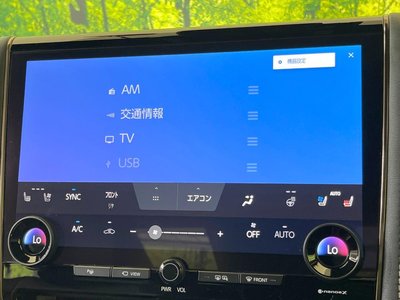 2025 Toyota ALPHARD — миниатюра 65