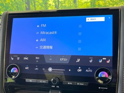 2025 Toyota ALPHARD — миниатюра 64