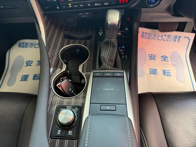 2022 Lexus RX 缩略图 28