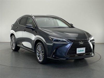 LEXUS NX - 1