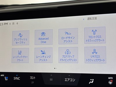2024 Toyota ALPHARD 照片 9
