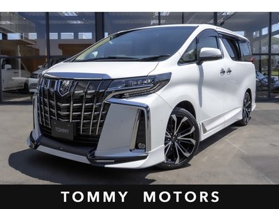 TOYOTA ALPHARD - 1