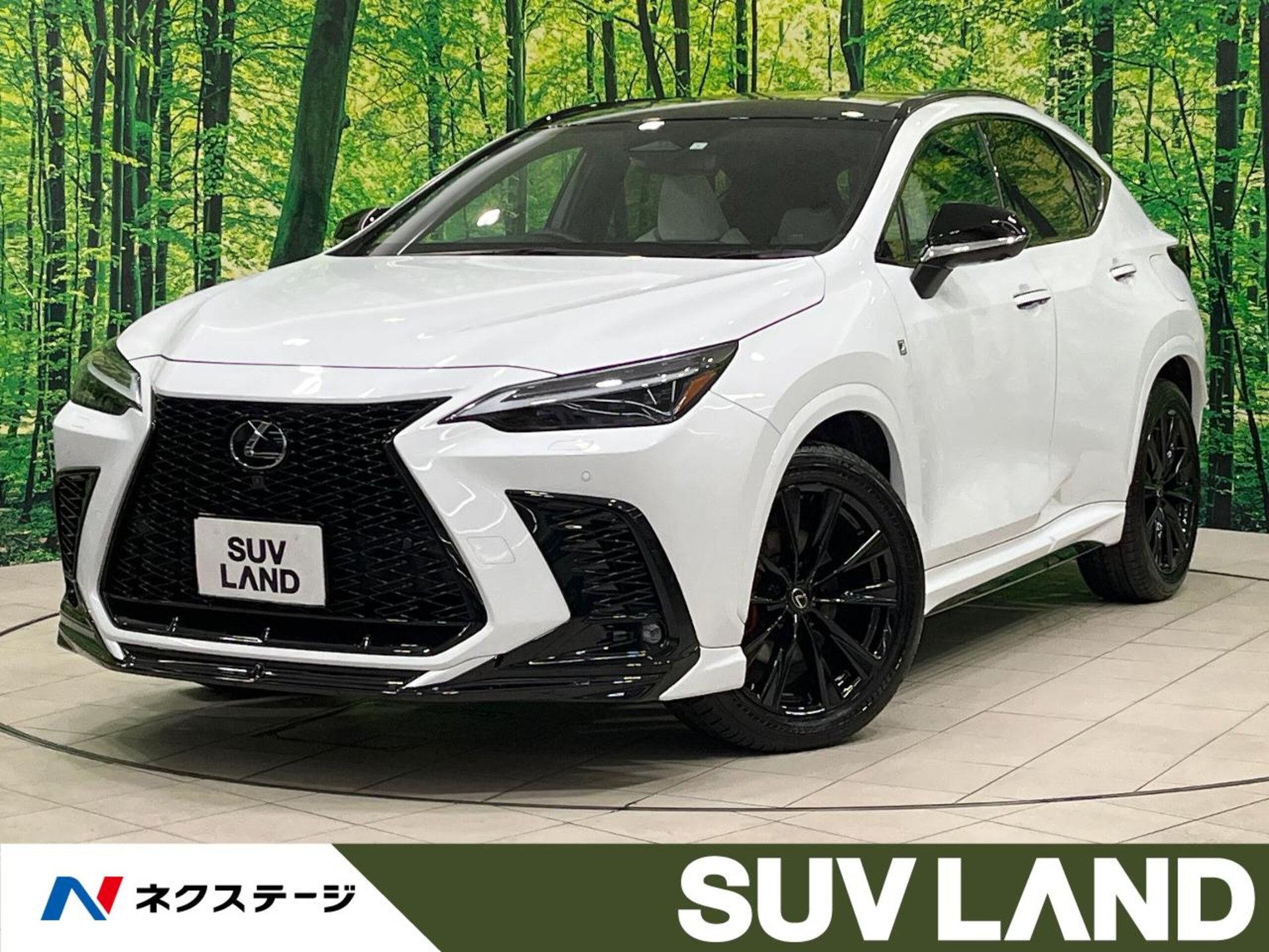 LEXUS NX - View 1