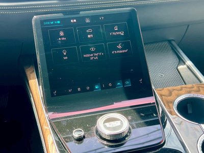 صورة مصغرة 45 لـ 2025 Cadillac ESCALADE