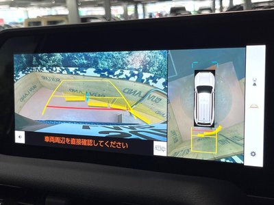 2024 Toyota LAND CRUISER 250 照片 5