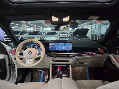 BMW X6 - 7